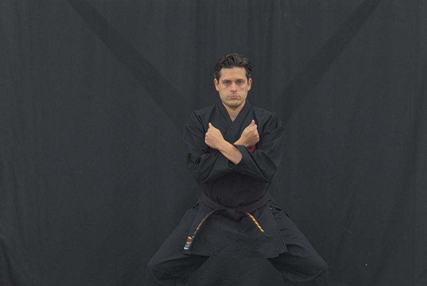 Bujinkan Budo Taijutsu instructor in crossed-arm guard stance