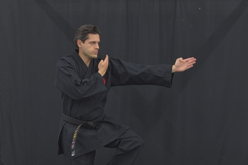 Bujinkan Budo Taijutsu instructor demonstrating a fighting stance