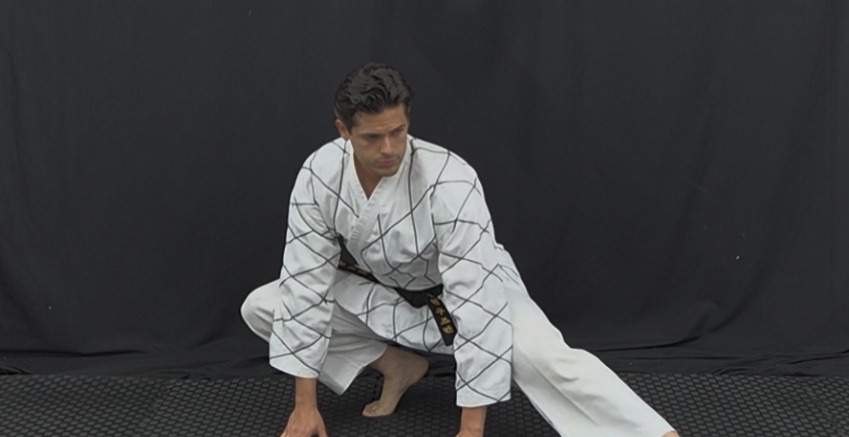 Jang Mu Won Hapkido instructor in low crouching stance