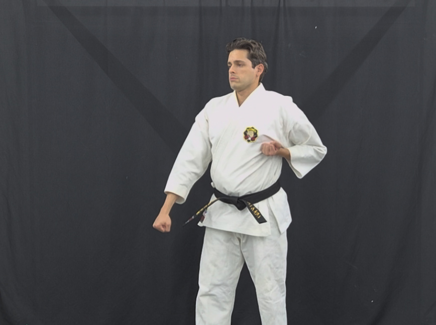 Matsubayashi Shorin-Ryu instructor demonstrating hikite chamber position