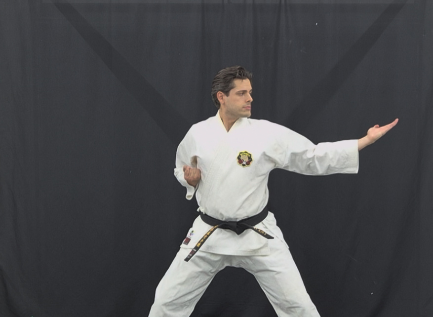 Matsubayashi Shorin-Ryu instructor in fighting stance with extended block